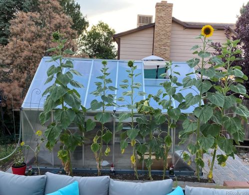 19454 Florida Pl, Aurora CO 80017-4641 exterior