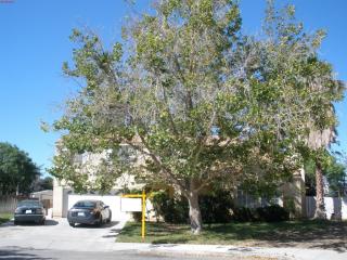 38001 Beryl Ct, Palmdale, CA 93552-3104