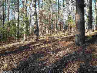 95 Cedar Trl, Story, AR 71970-7910