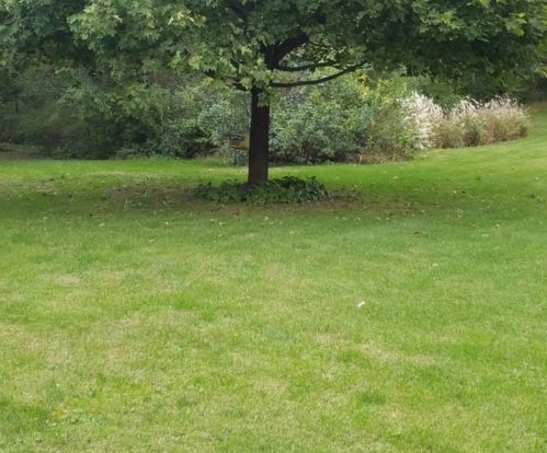 1882 Paulsen Rd, Nelson IL  61021-8402 exterior