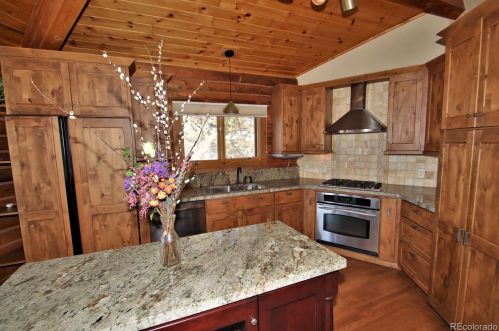 784 Idlewild Dr, Montezuma, CO 80435-7608