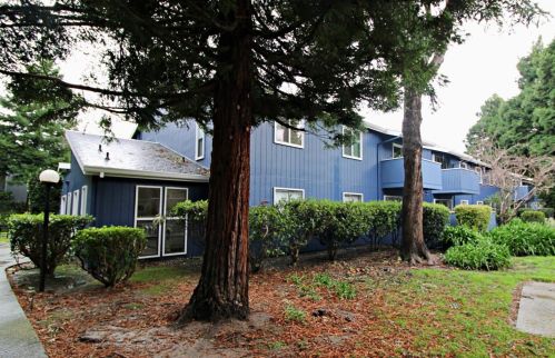 421 Piccadilly Pl, San Bruno, CA 94066-2090