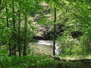 317 Pocaset Dr, Ellijay, GA 30540-0006
