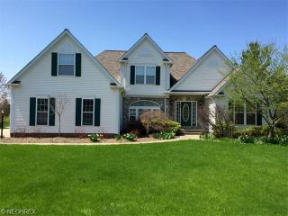 270 Pine Ct, Aurora, OH 44202-9138