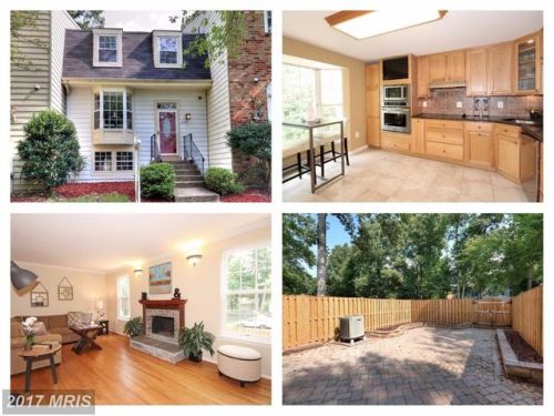 10002 Chestnut Wood Ln, Springfield, VA 22015-2701