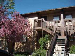 2971 Tierra Verde, Reno, NV 89512-4711