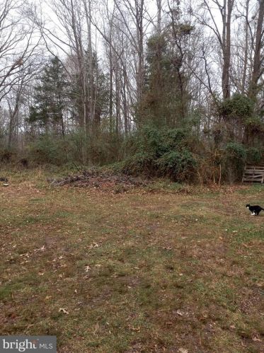 4724 Blaydes Corner Rd, Spotsylvania, VA 22551-3065