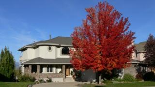 735 Ridge Creek Ct, Longmont, CO 80504-4006