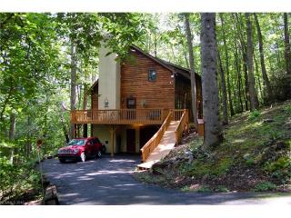 64 Cherokee Trl, Fletcher, NC 28732-9436
