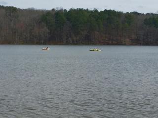 1059 Seabreeze Lake Rd, Buchanan, GA 30113-4476