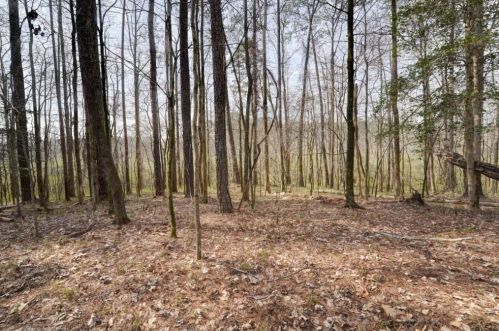 3361 Deer Hollow Trl, Conyers GA  exterior