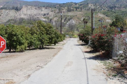 16892 Mountain Rd, Santa Paula, CA 93060-9697