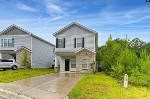 206 Orange Pond Ct, Lexington, SC 29073-9742
