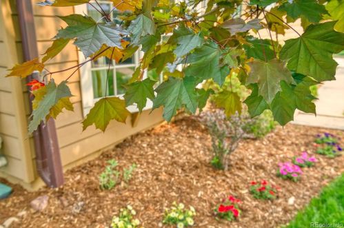 365 31st St, Boulder CO  80305-3404 exterior