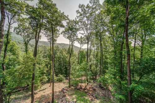 1458 Valley View Dr, Big Canoe GA  exterior