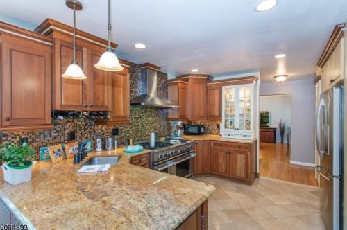 13 Druid Hill Dr, Parsippany, NJ 07054-1453