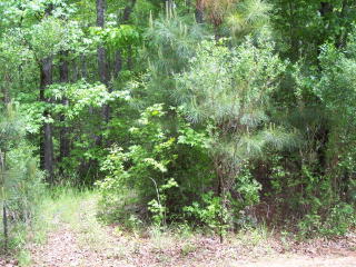 17 Ridgeway Dr, Cataula, GA 31804-2644