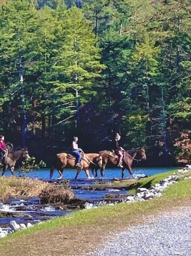 940 Fairway Dr, Big Canoe GA  30143-7987 exterior