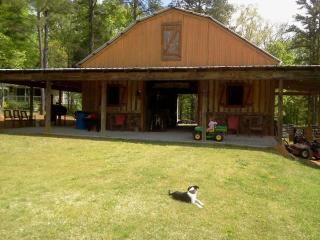 679 Morris Rd, Aragon, GA 30104-1348