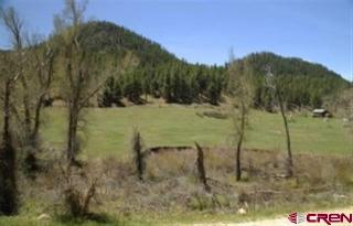 1262 Bear Creek Rd, Vallecito, CO 81122-9312