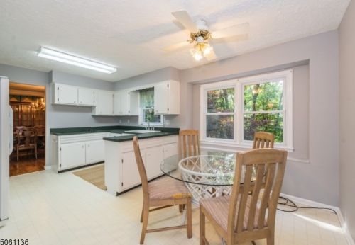 44 Springhill Rd, Dover NJ  07869-4316 exterior