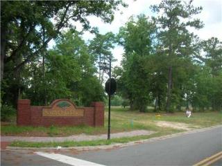 6242 Chief O F Love Rd, Savannah, GA 31419-6201