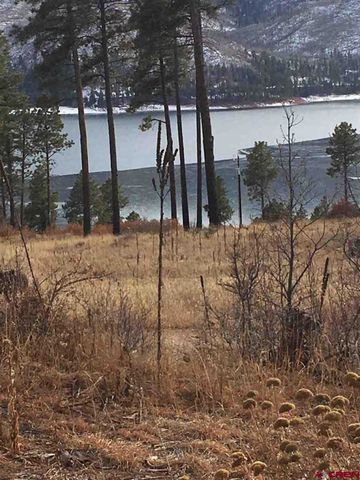 99 Park Dr, Vallecito, CO 81122-9787