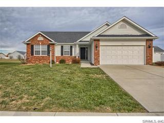 133 Westmoreland Dr, Fort Russell IL  62010-2290 exterior