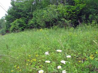 4001 Lesslie Hwy, Catawba, SC 29704-8727