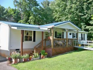 111 Dean Ridge Cir, Wirtz, VA 24184-3598