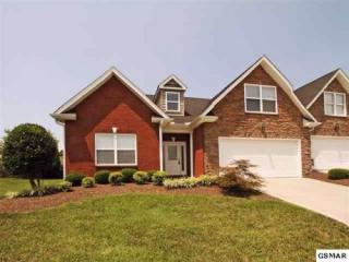 1047 Woullard Way, Pigeon Forge, TN 37876-0670