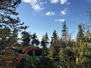 8933 179th Pl, Edmonds, WA 98026-5313