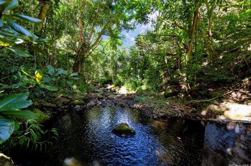 2550 Waiomao Rd, Honolulu HI 96816-3455 exterior