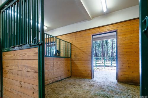 5014 Perry Park Rd, Deckers CO 80135-8209 exterior