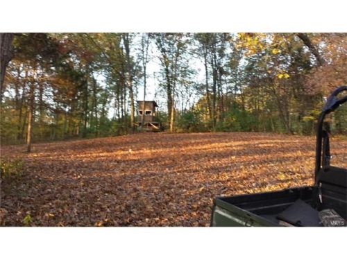 170 Morgan Valley Ln, Foley, MO 63347-2866