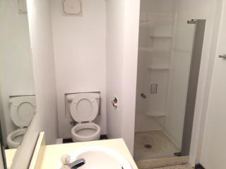 1003 State St, Lemont IL  60439-4233 exterior