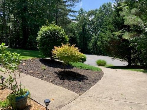 2049 Laurel Cv, Ball Ground, GA 30107-2655