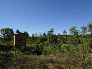 2521 Fm 228, Denson Spring, TX 75844-4919