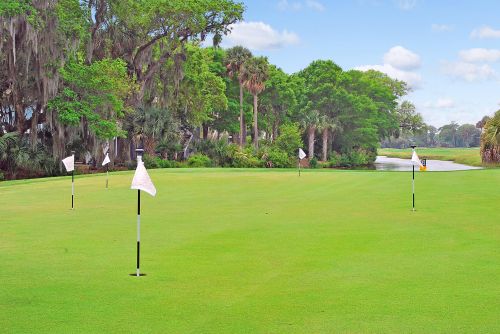 3 Seagrove Ln, Isle Of Palms SC  29451-2805 exterior