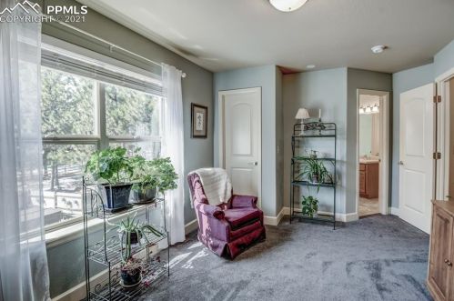 1102 Ptarmigan Dr, Woodland Park CO 80863-8004 exterior