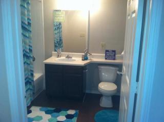 1101 Oxbow Dr, Irving TX  75038-3022 exterior