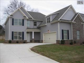 223 Greenstone Way, Columbia, SC 29212-8287
