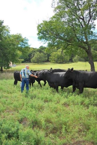 8959 Hilltop Rd, Argyle TX 76226-5012 exterior