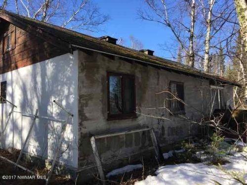 54264 Sheephead Dr, Waskish, MN 56685-4043
