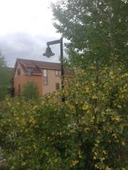 67 County Road 188, Montezuma, CO 80435