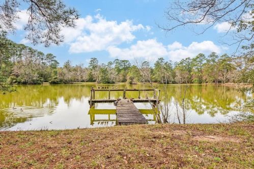 17624 White Perch Lk Dr, Conroe TX  exterior