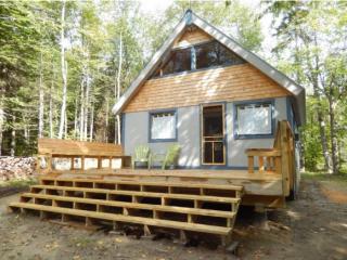 61 Halfmoon Pond Rd, Grafton, NH 03240-3548
