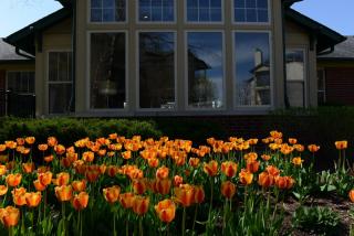 350 Whitewater Dr, Lemont IL  60440-1778 exterior