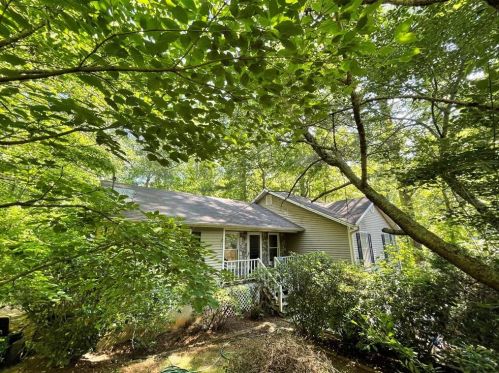217 Cherokee Village Dr, Ball Ground, GA 30107-4118