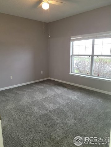 1930 Shamrock Dr, Broomfield CO exterior